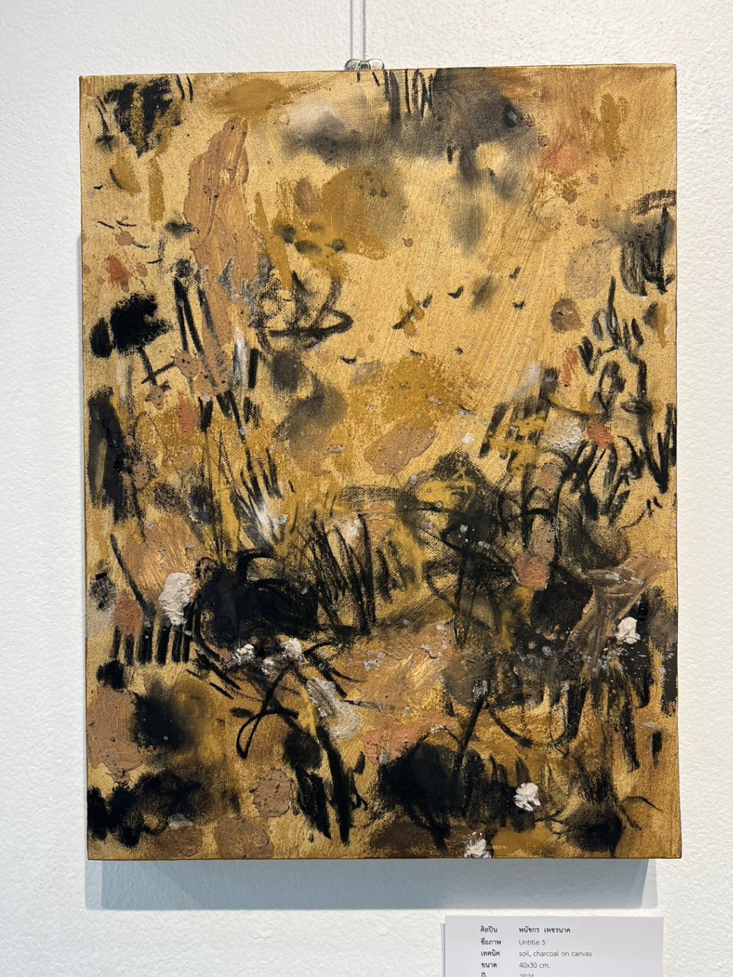 Art season exhibition by PhanatchaNuch 12