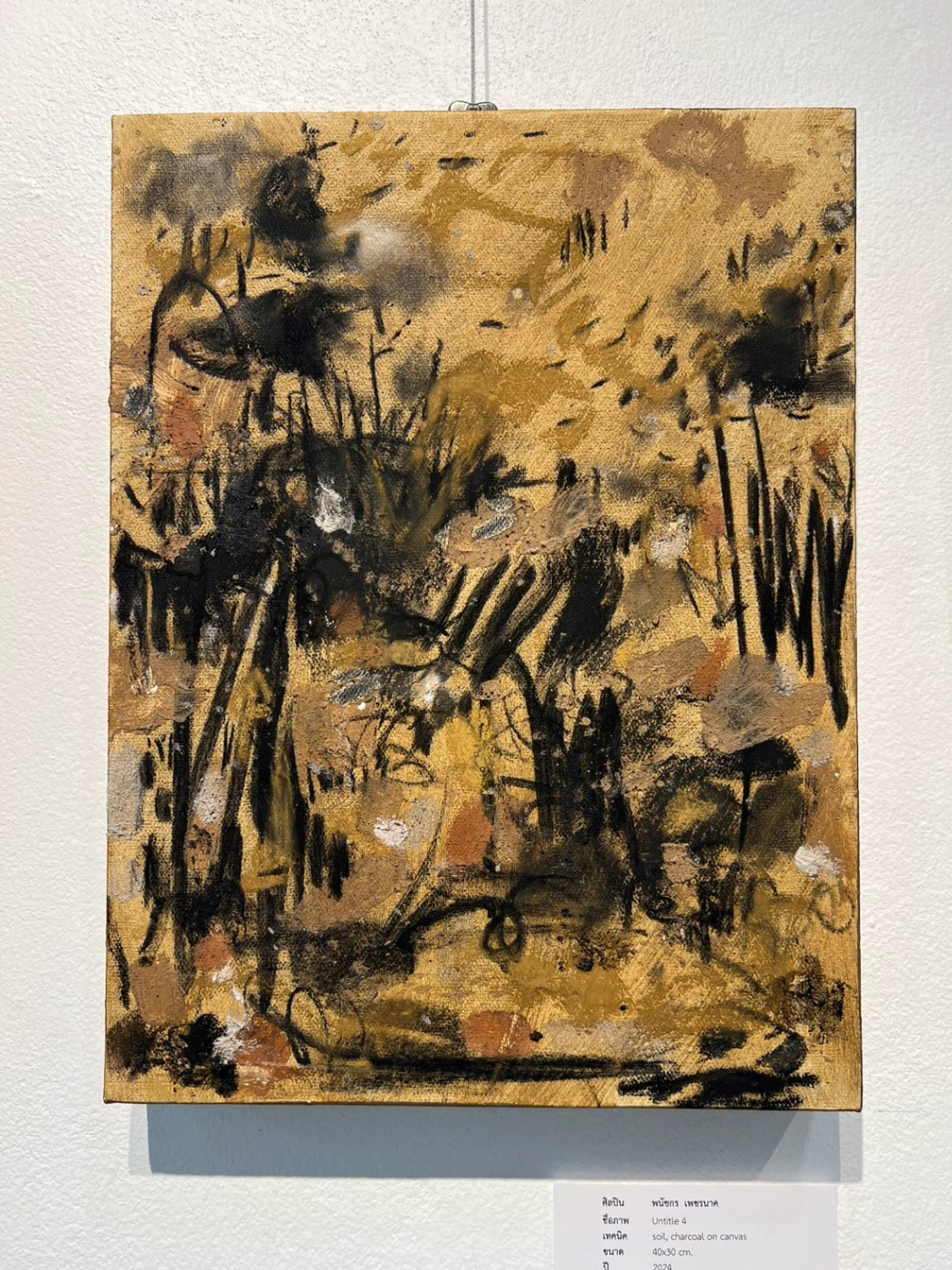 Art season exhibition by PhanatchaNuch 13